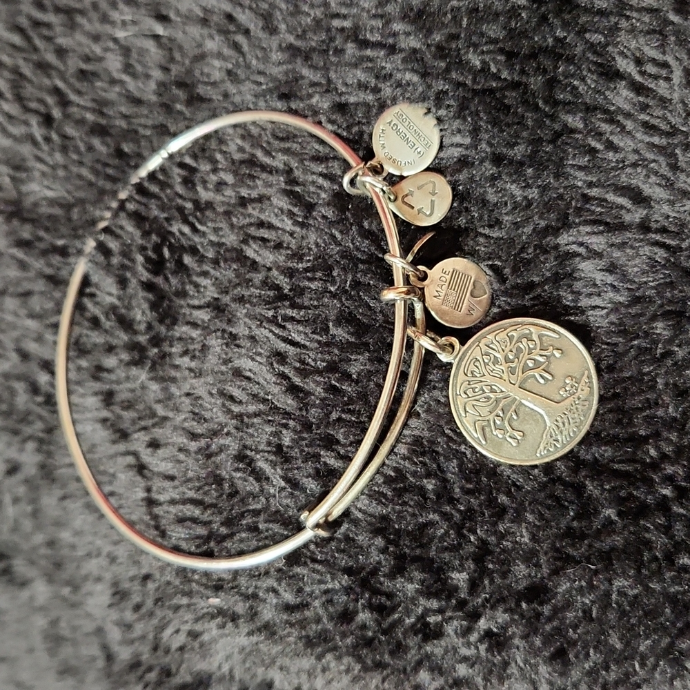 Alex And Ani Bangles Set Of Two Tree Of Life, Pat… - image 5